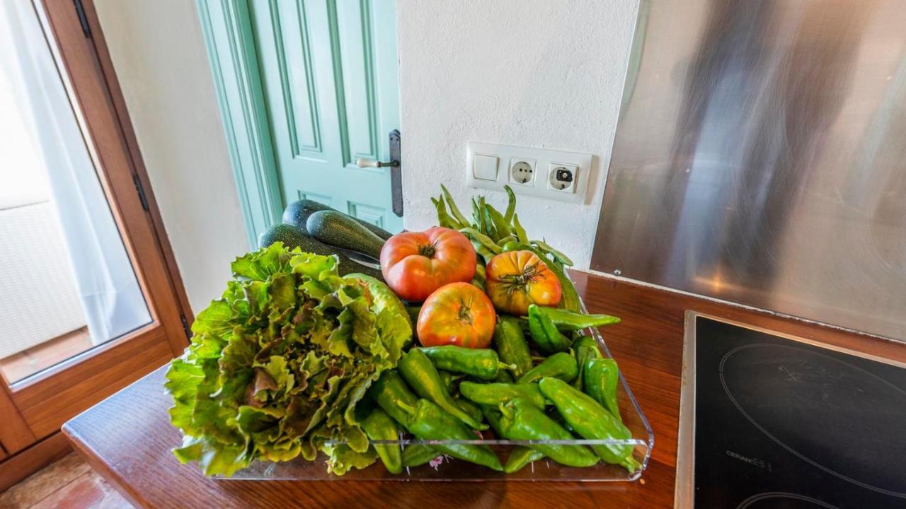Atico La Carrasquilla Gaucin By Ruralidays Apartment Ngoại thất bức ảnh